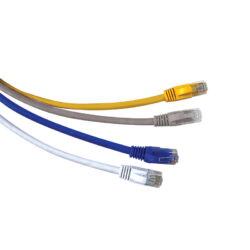 Cat 6